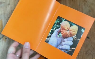 El poder del crowdfunding: wabi-sabi a la naranja por Cayetano Bravo