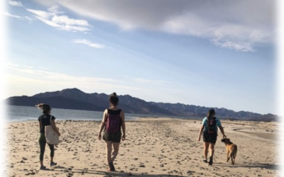 Nuria Jiménez (CSIC-IPNA, beca Marie Curie) reivindica la investigación académica como un acto político y de sanación